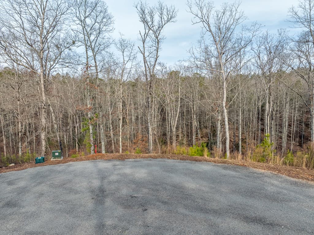 Lot 127 Red Hawk Lane, Ellijay GA 30540 - Photo