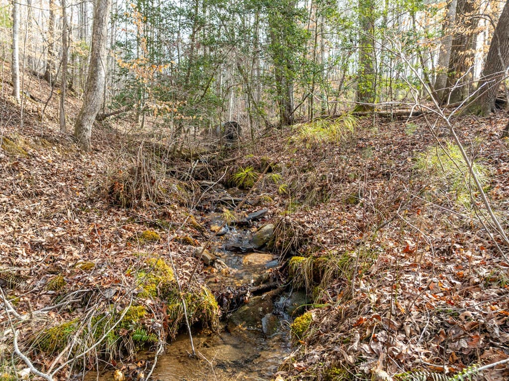 Lot 127 Red Hawk Lane, Ellijay GA 30540 - Photo