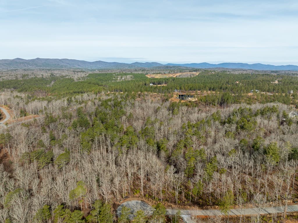 Lot 127 Red Hawk Lane, Ellijay GA 30540 - Photo