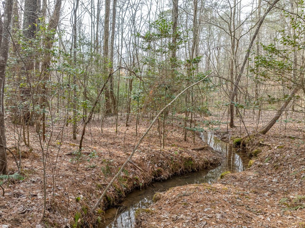 Lot 127 Red Hawk Lane, Ellijay GA 30540 - Photo