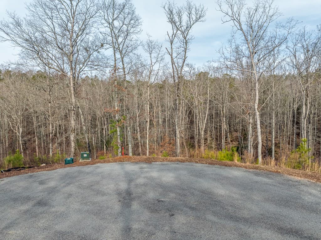 Lot 127 Red Hawk Lane, Ellijay GA 30540 - Photo