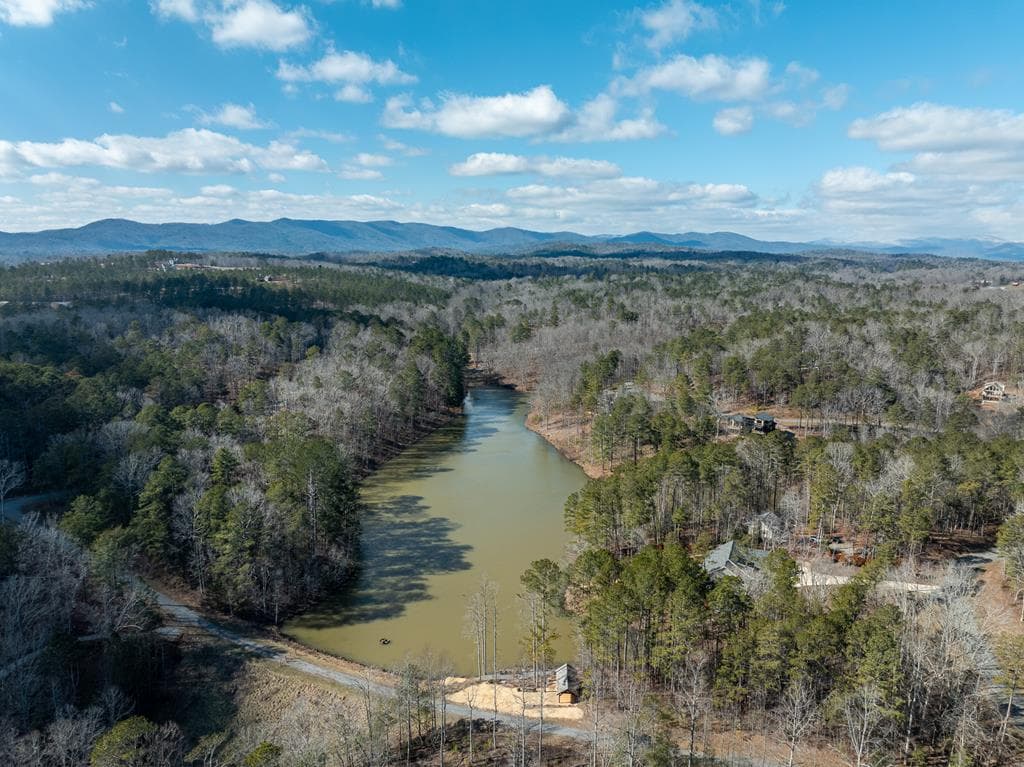 Lot 127 Red Hawk Lane, Ellijay GA 30540 - Photo