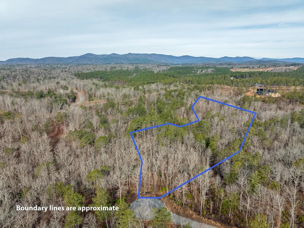 Lot 127 Red Hawk Lane, Ellijay GA 30540 - Primary photo