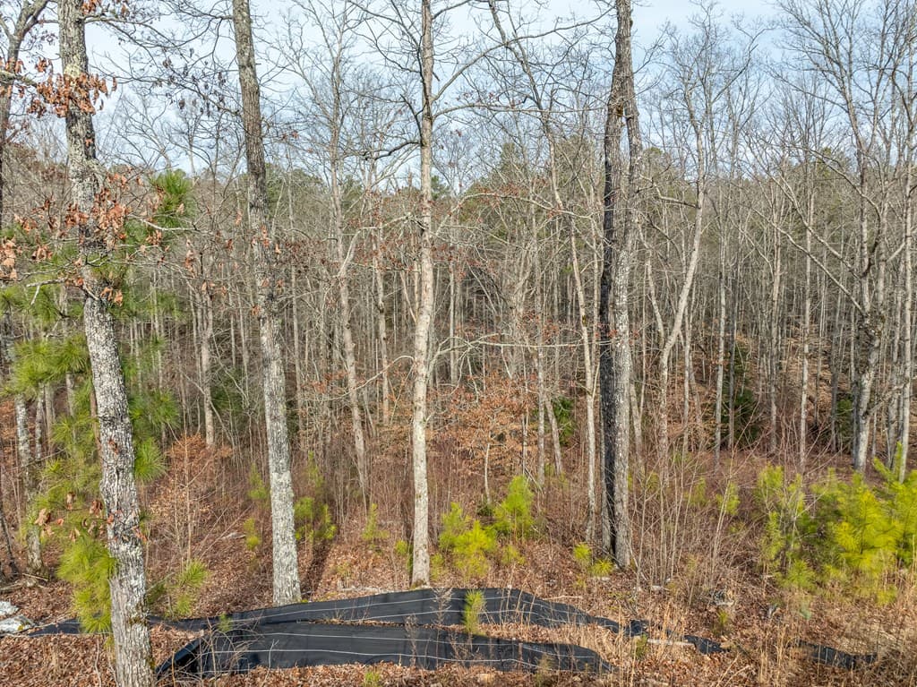 Lot 127 Red Hawk Lane, Ellijay GA 30540 - Photo