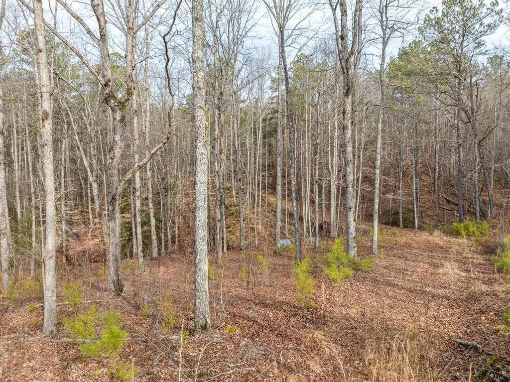 Lot 127 Red Hawk Lane, Ellijay GA 30540 - Photo