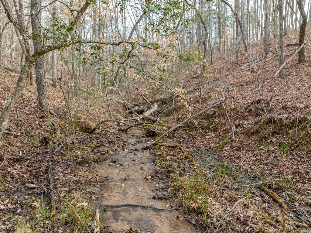 Lot 127 Red Hawk Lane, Ellijay GA 30540 - Photo
