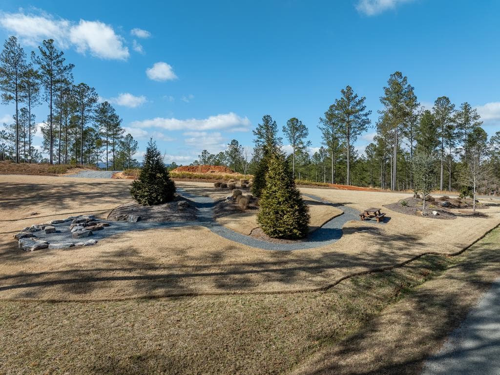 Lot 127 Red Hawk Lane, Ellijay GA 30540 - Photo