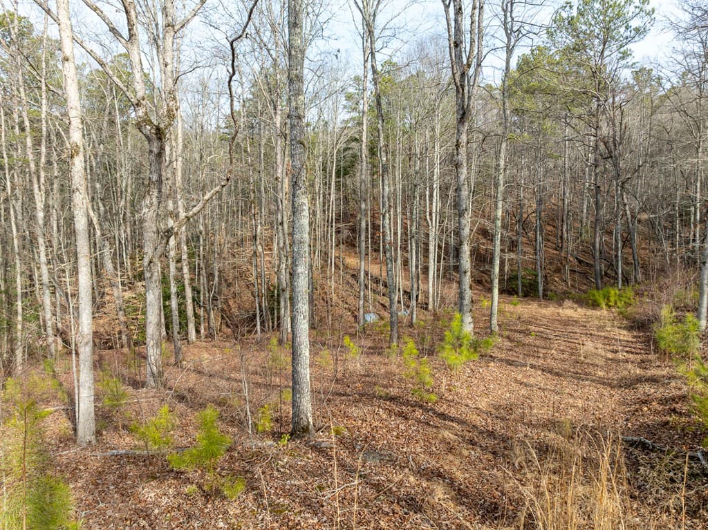 Lot 127 Red Hawk Lane, Ellijay GA 30540 - Photo