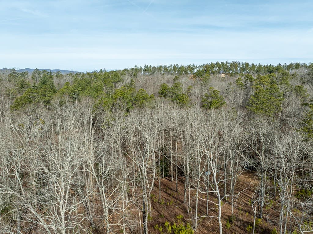 Lot 127 Red Hawk Lane, Ellijay GA 30540 - Photo