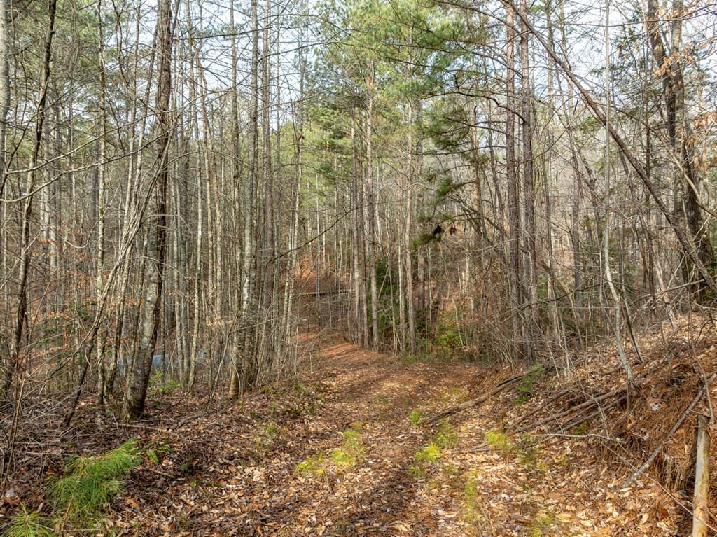 Lot 127 Red Hawk Lane, Ellijay GA 30540 - Photo