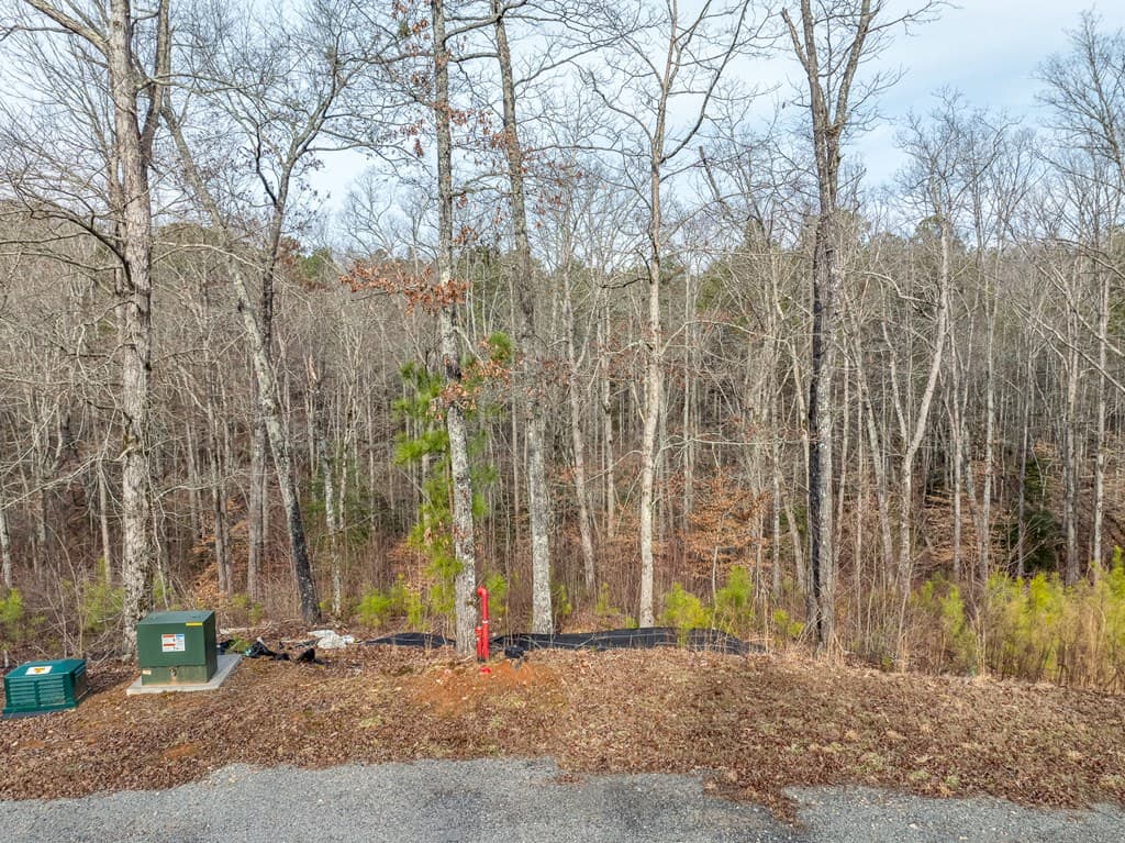 Lot 127 Red Hawk Lane, Ellijay GA 30540 - Photo