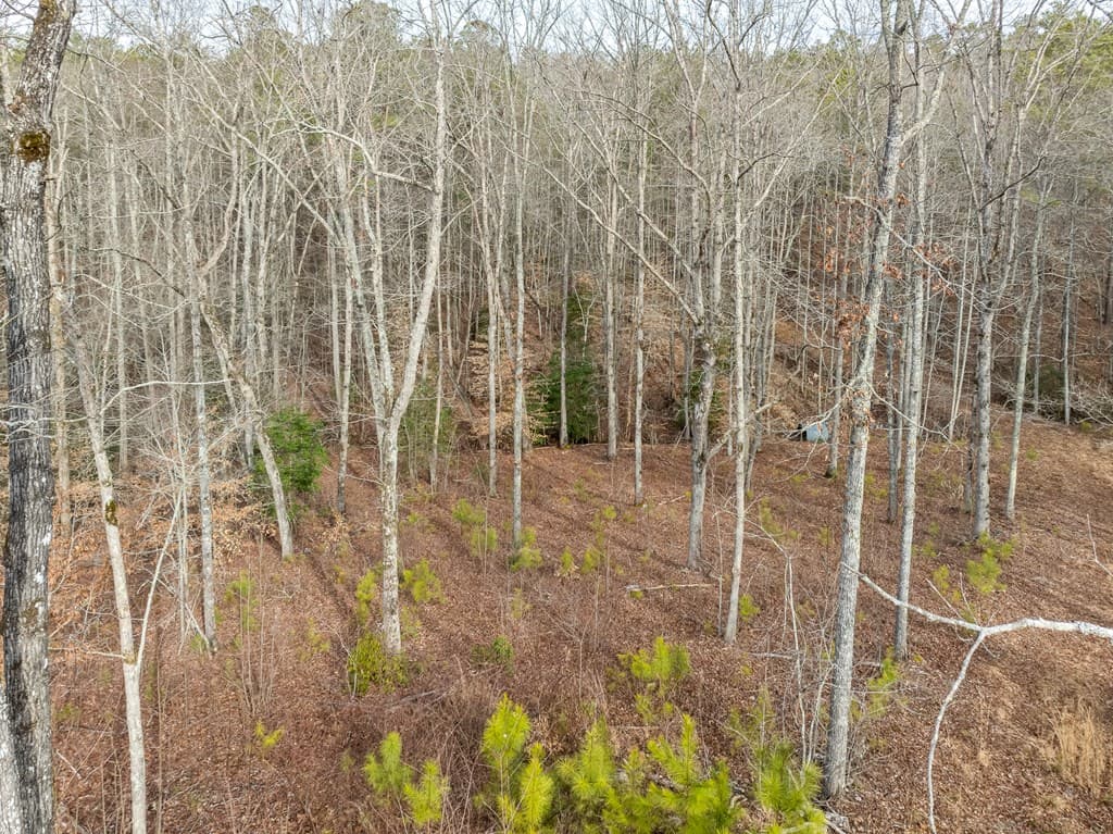 Lot 127 Red Hawk Lane, Ellijay GA 30540 - Photo