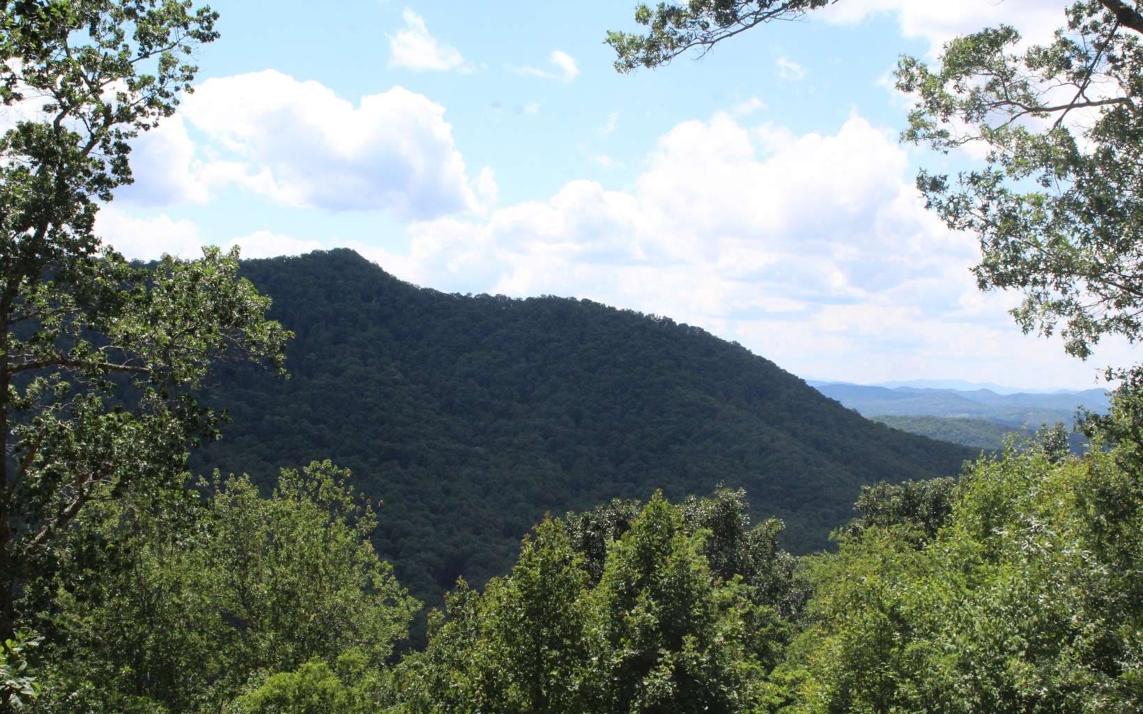 131 Shiloh Ridge, Hayesville NC 28904 - Photo