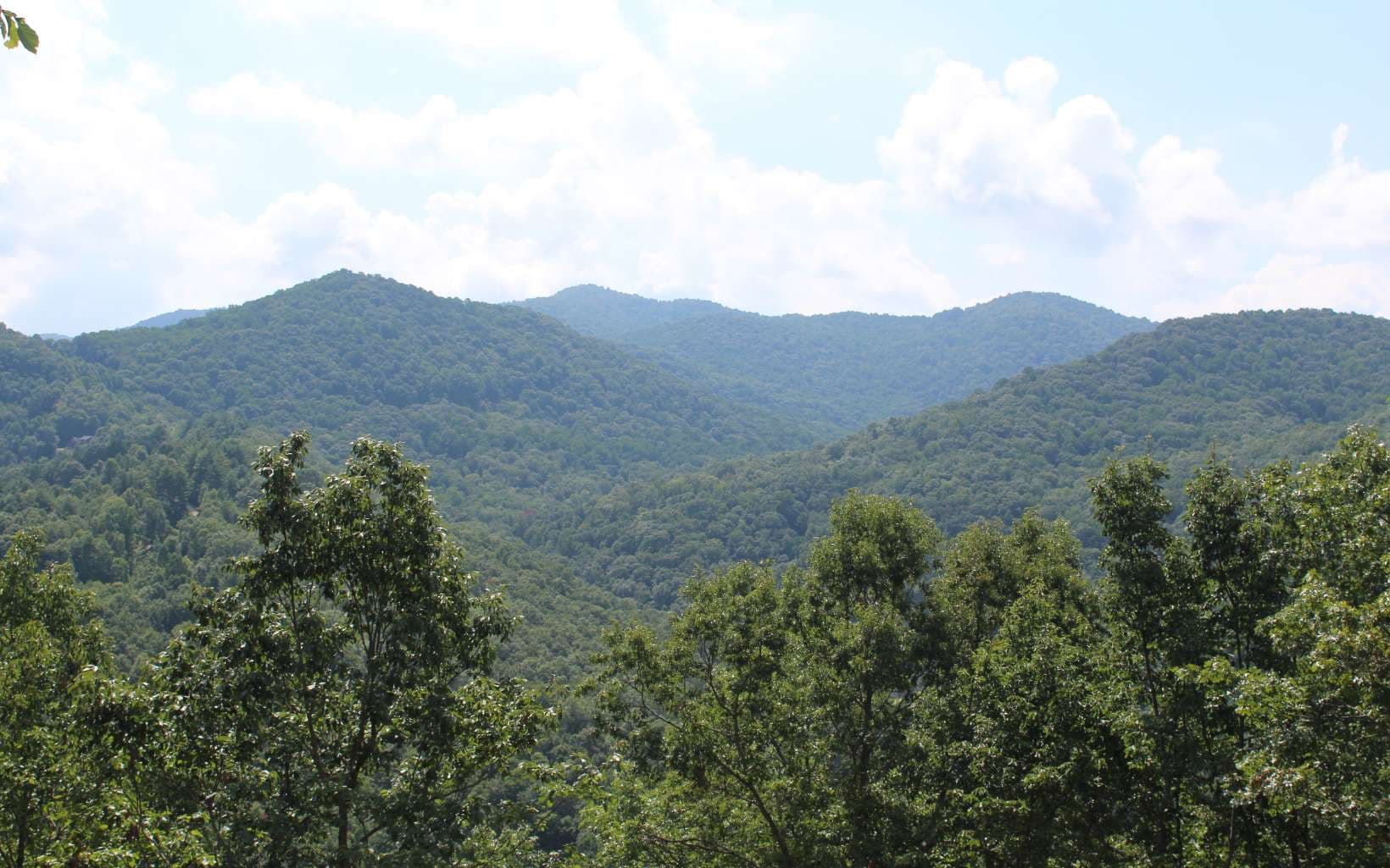 135 Shiloh Ridge, Hayesville NC 28904 - Photo