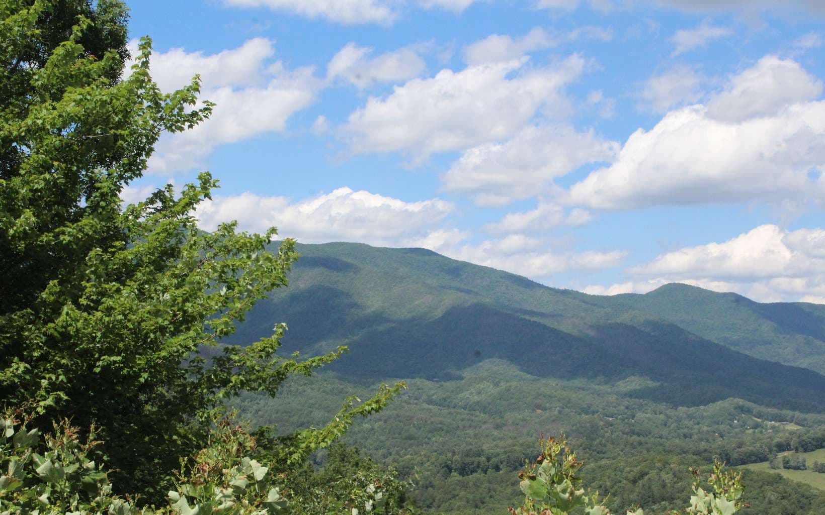 135 Shiloh Ridge, Hayesville NC 28904 - Photo