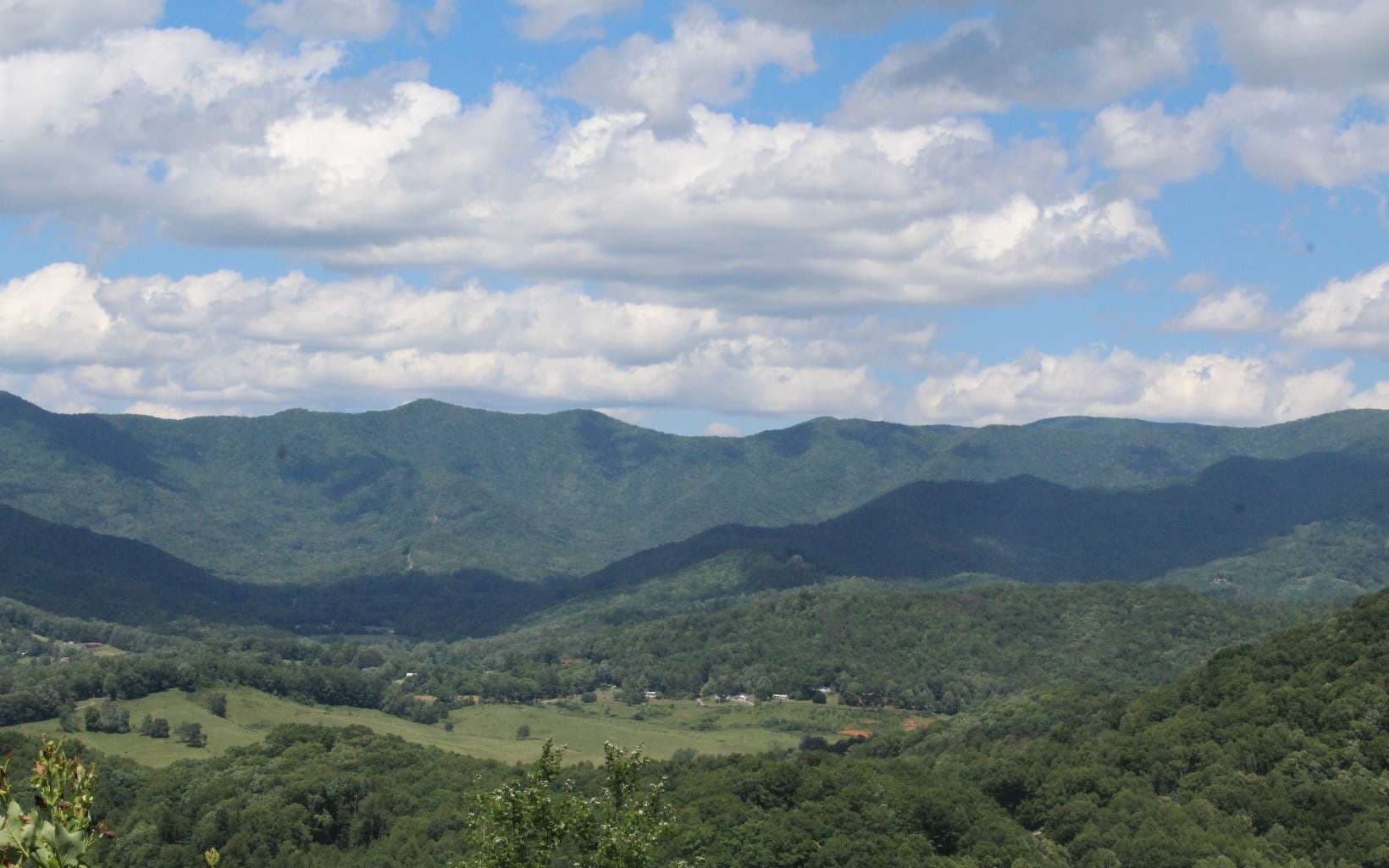 135 Shiloh Ridge, Hayesville NC 28904 - Primary photo