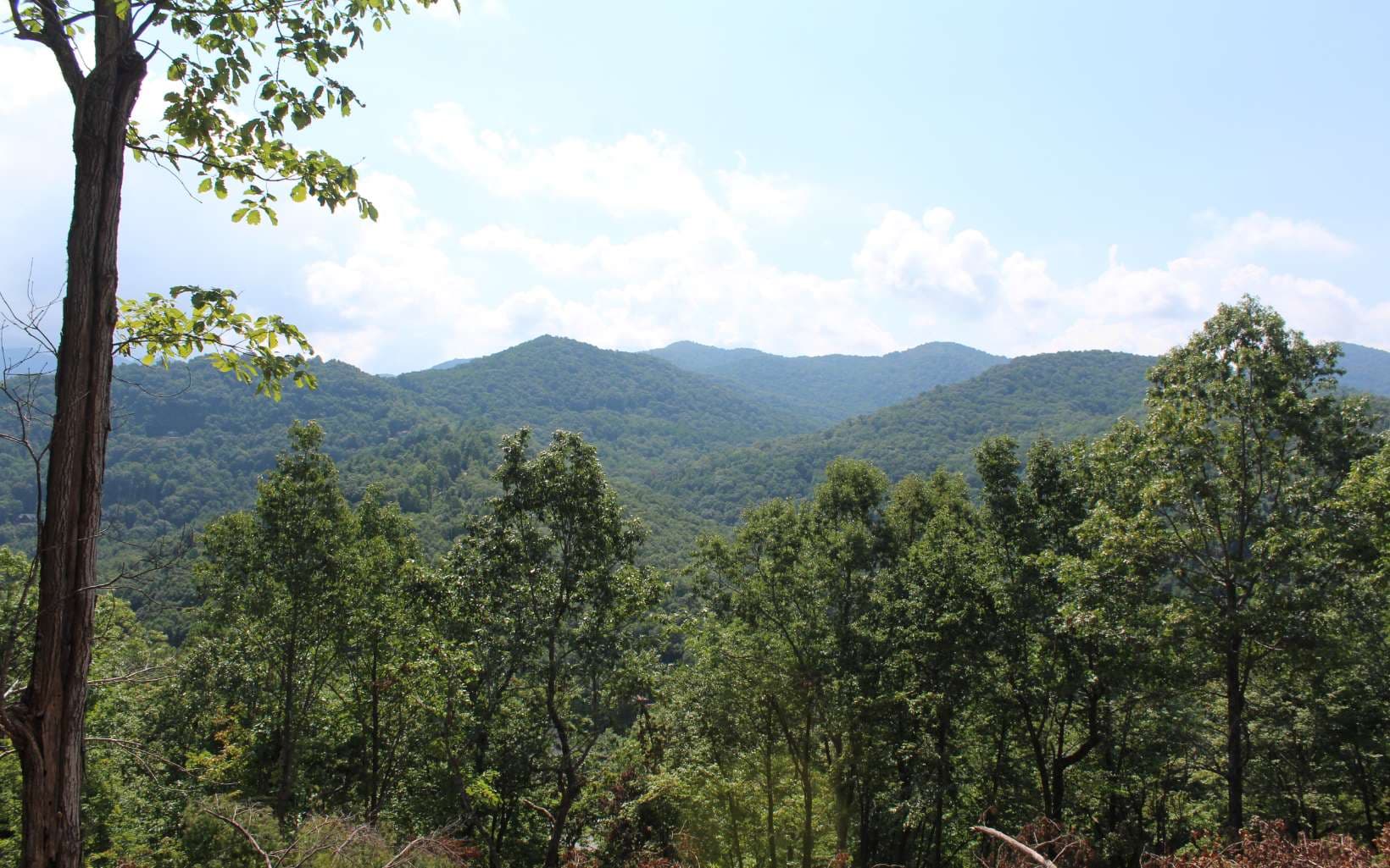 135 Shiloh Ridge, Hayesville NC 28904 - Photo