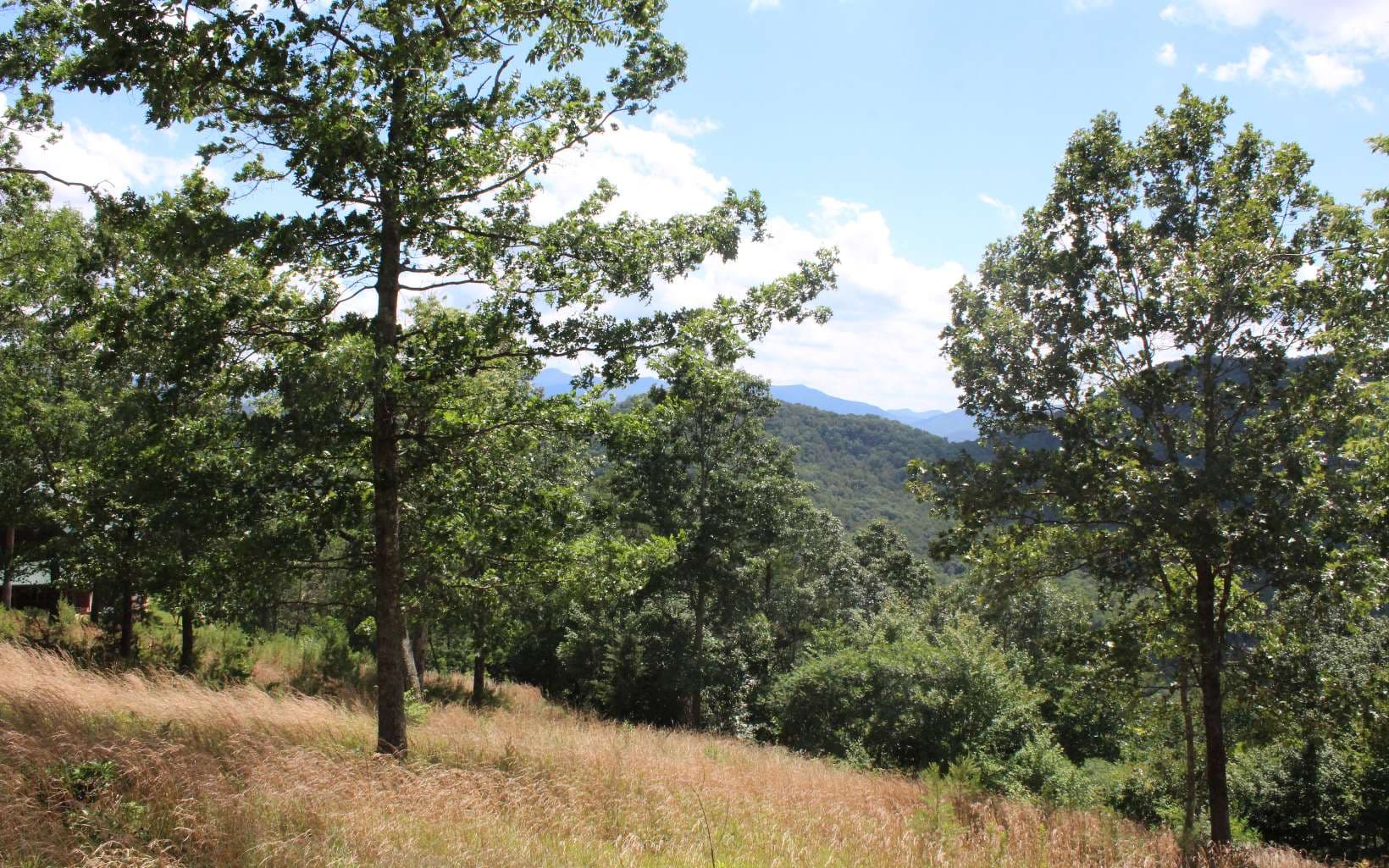 133 Shiloh Ridge, Hayesville NC 28904 - Photo