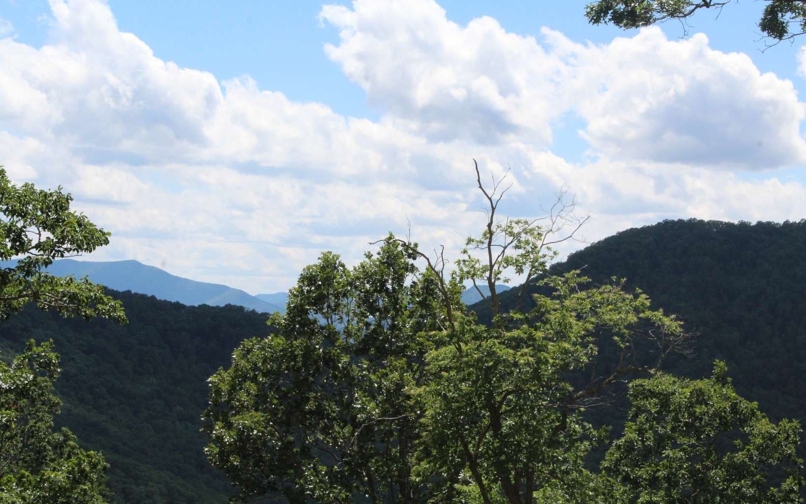 133 Shiloh Ridge, Hayesville NC 28904 - Photo