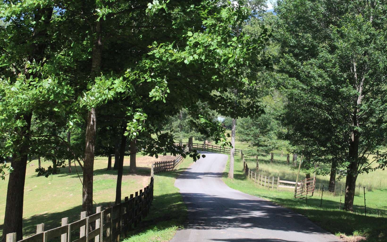143 Shiloh Ridge, Hayesville NC 28904 - Photo