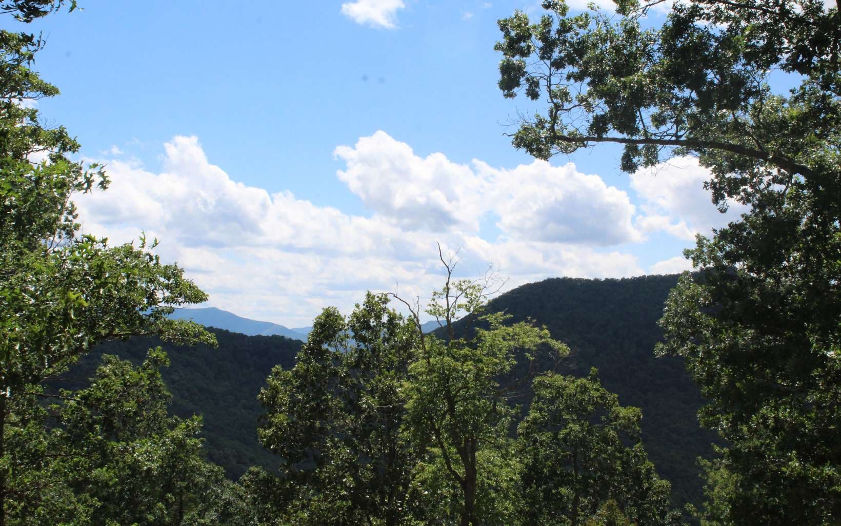 143 Shiloh Ridge, Hayesville NC 28904 - Photo