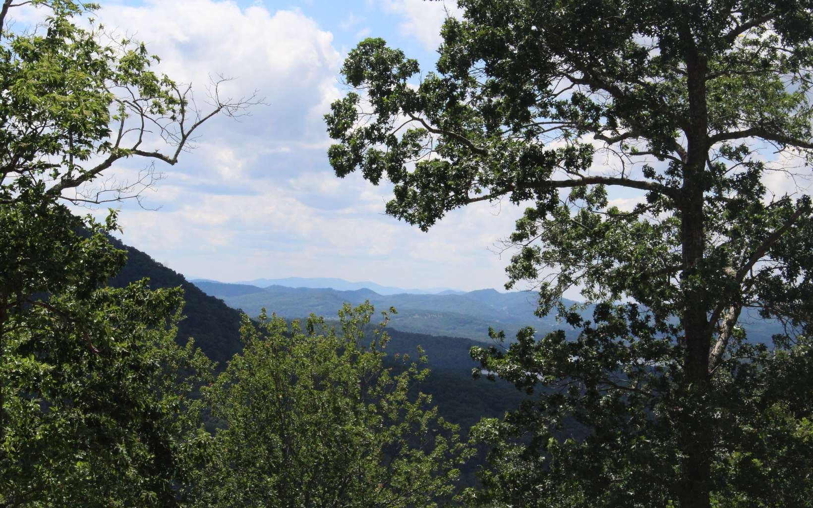 143 Shiloh Ridge, Hayesville NC 28904 - Photo