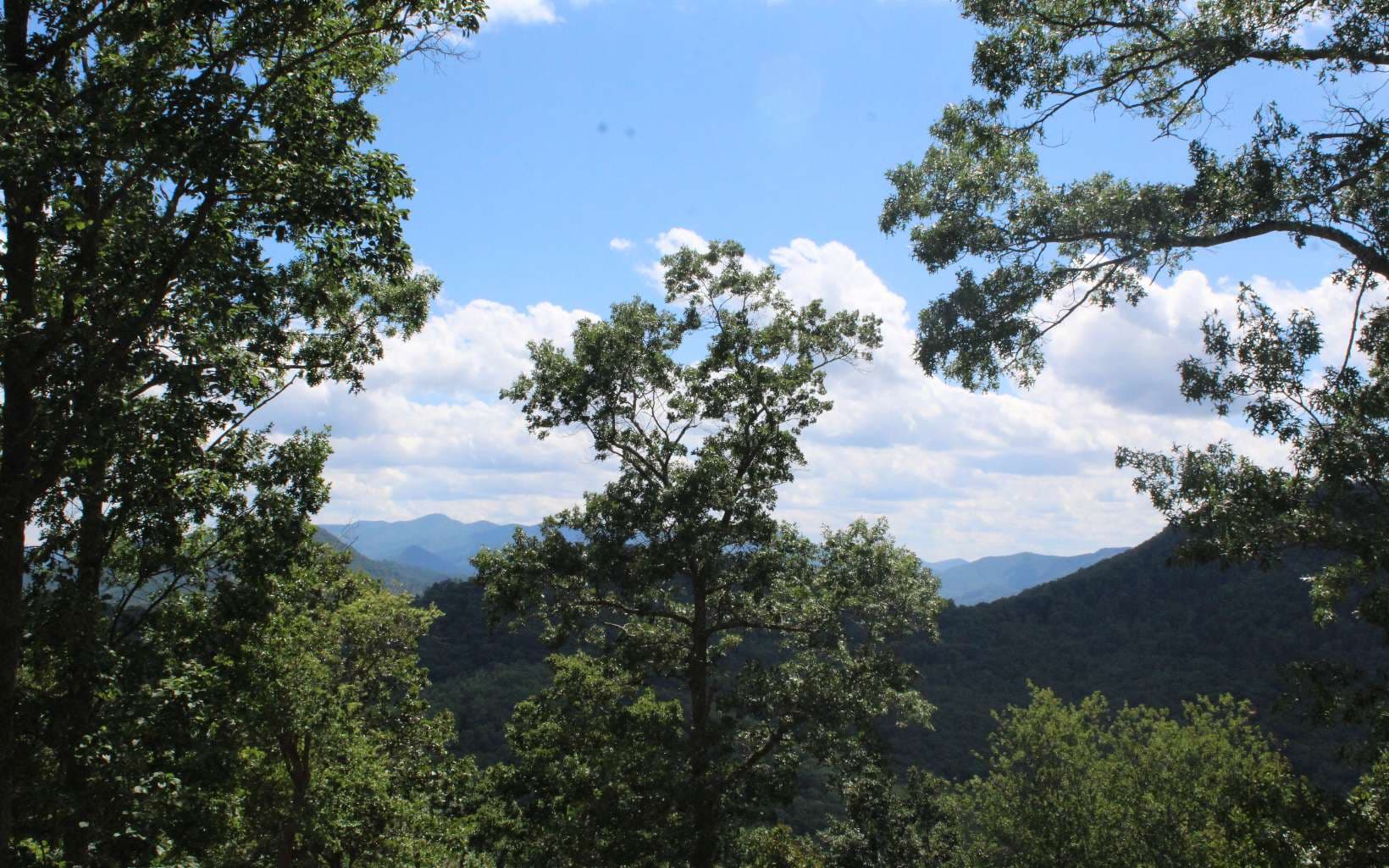 143 Shiloh Ridge, Hayesville NC 28904 - Photo