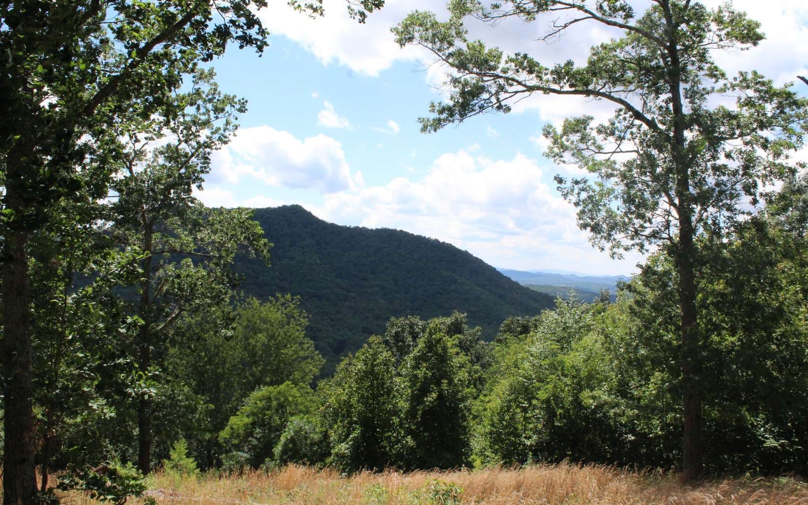 143 Shiloh Ridge, Hayesville NC 28904 - Photo