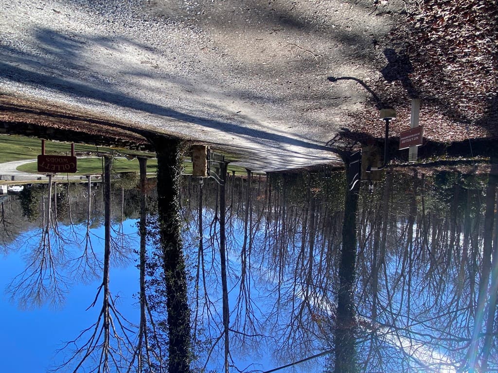 TBD Collett Woods Cove, Andrews NC 28901 - Photo