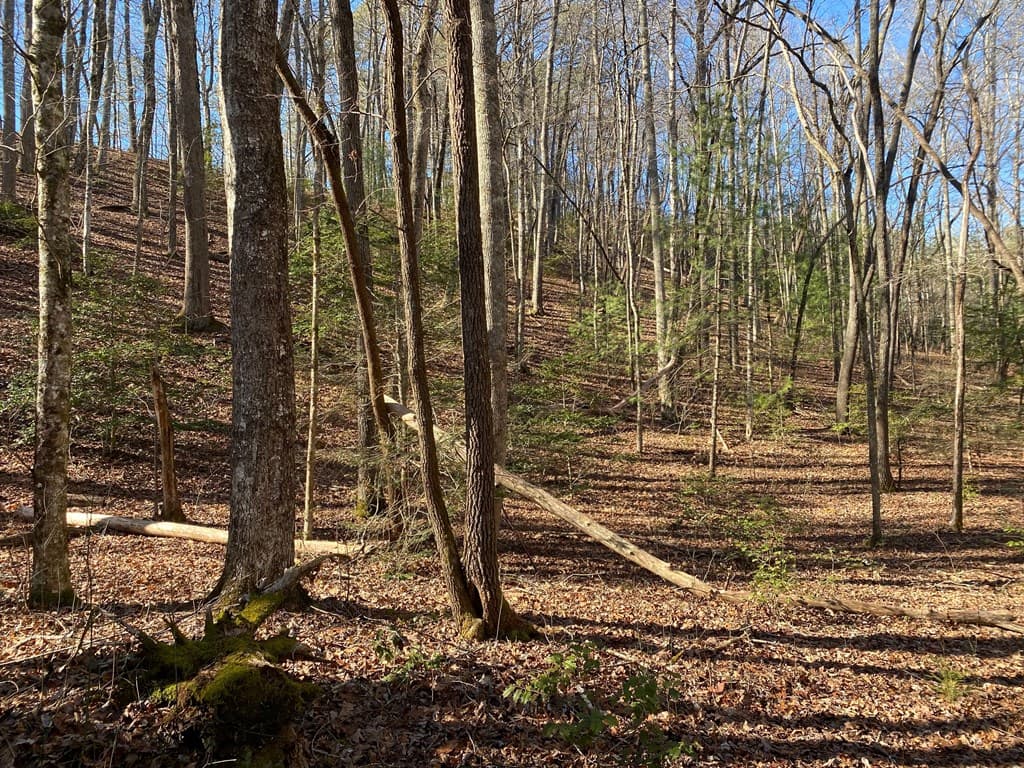 TBD Collett Woods Cove, Andrews NC 28901 - Photo