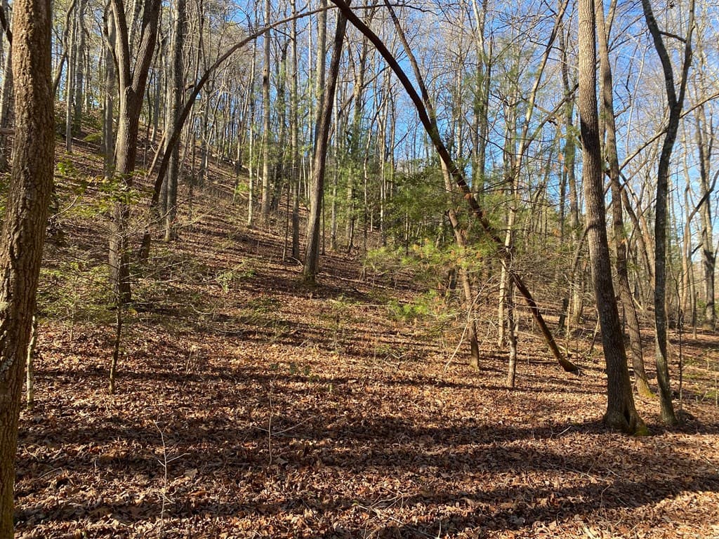 TBD Collett Woods Cove, Andrews NC 28901 - Photo