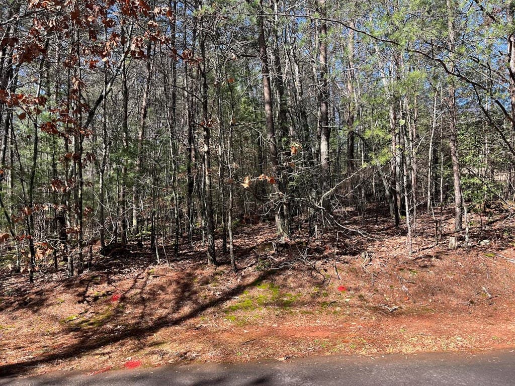 Lot 1 E Licklog Ridge, Hayesville NC 28904 - Photo