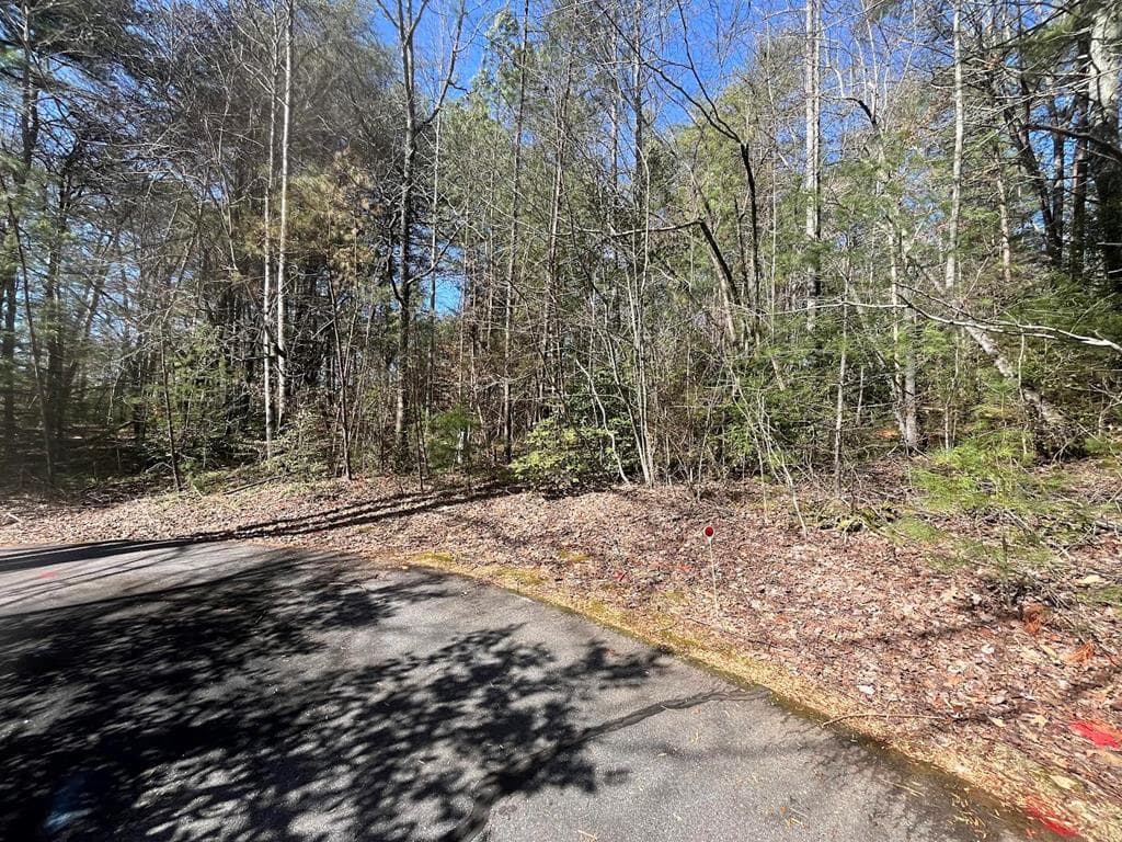 Lot 1 E Licklog Ridge, Hayesville NC 28904 - Primary photo