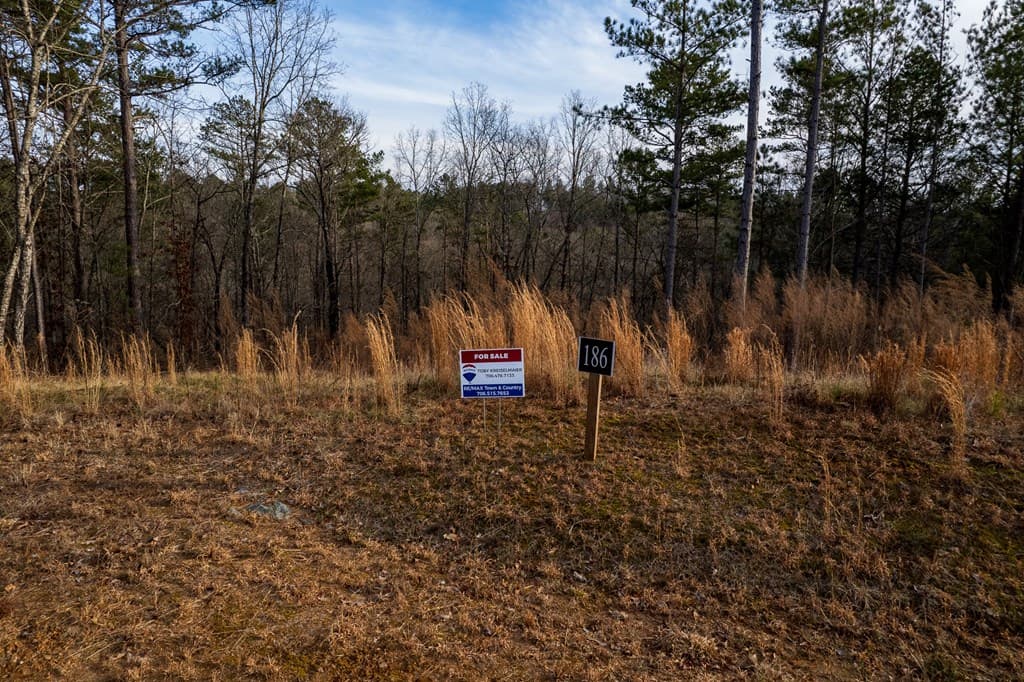 Lot 186 Shelter Cove Trail, Talking Rock GA 30175 - Photo