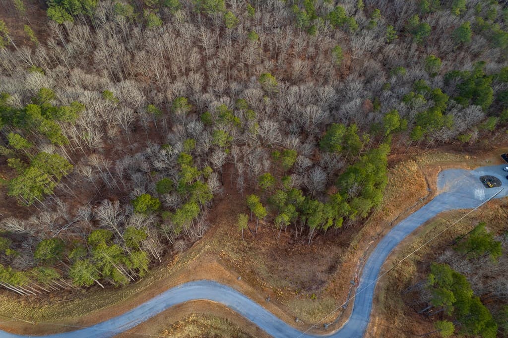 Lot 186 Shelter Cove Trail, Talking Rock GA 30175 - Photo
