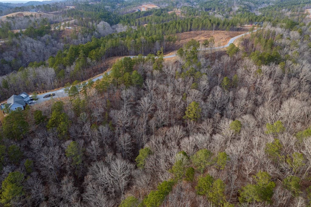 Lot 186 Shelter Cove Trail, Talking Rock GA 30175 - Photo
