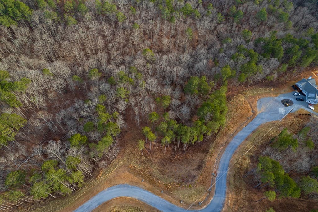Lot 186 Shelter Cove Trail, Talking Rock GA 30175 - Photo