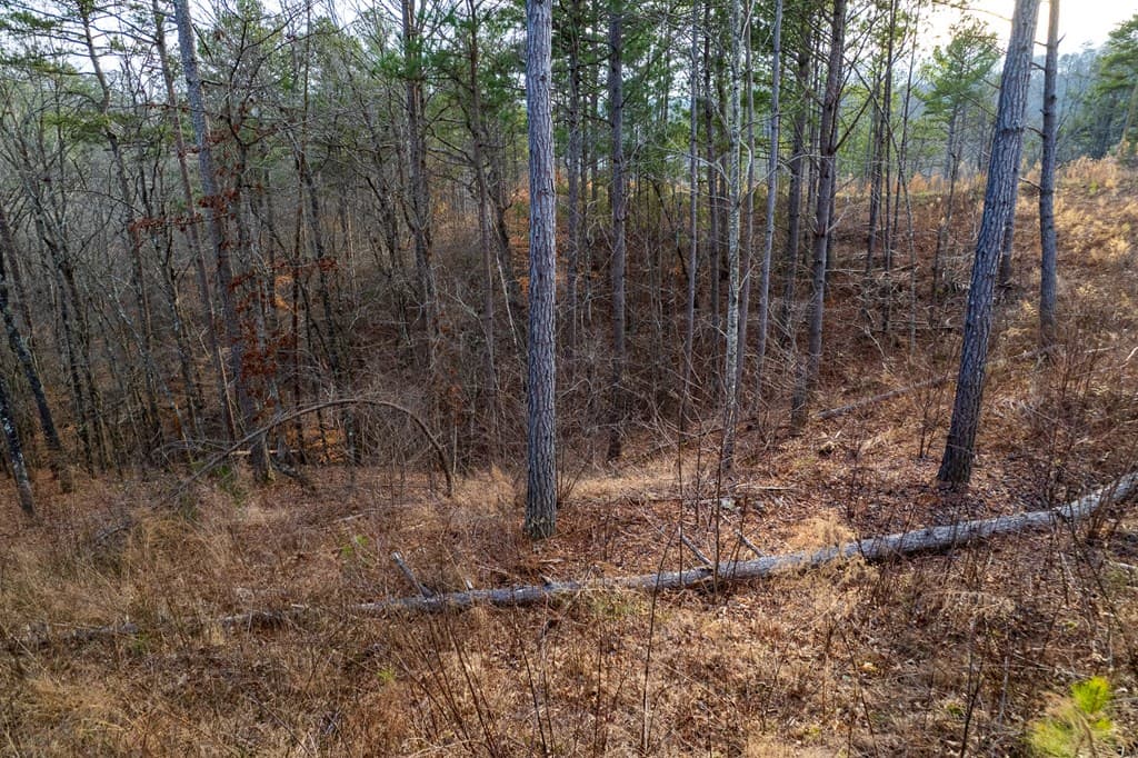 Lot 186 Shelter Cove Trail, Talking Rock GA 30175 - Photo
