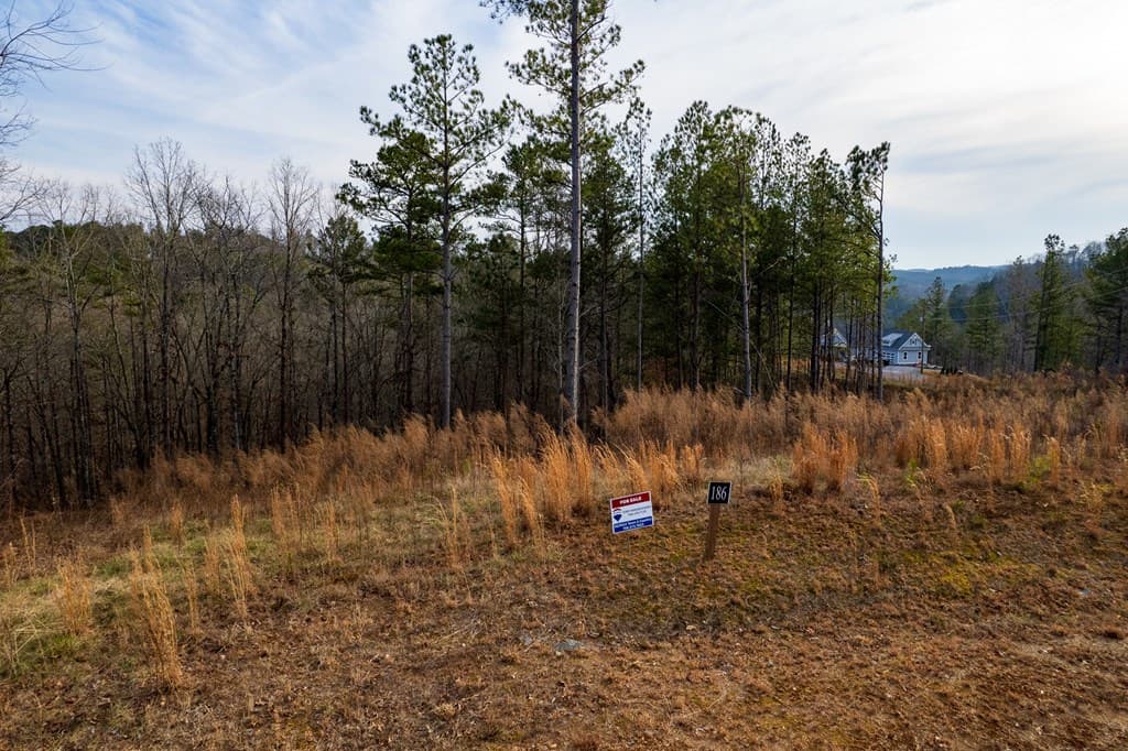 Lot 186 Shelter Cove Trail, Talking Rock GA 30175 - Photo