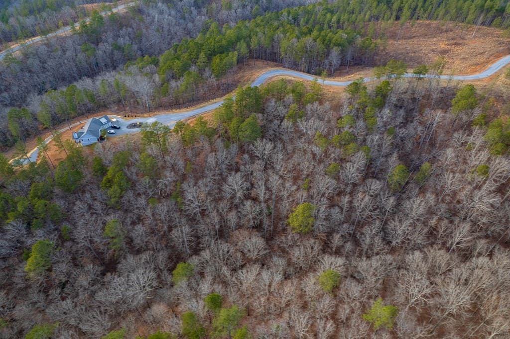 Lot 186 Shelter Cove Trail, Talking Rock GA 30175 - Photo