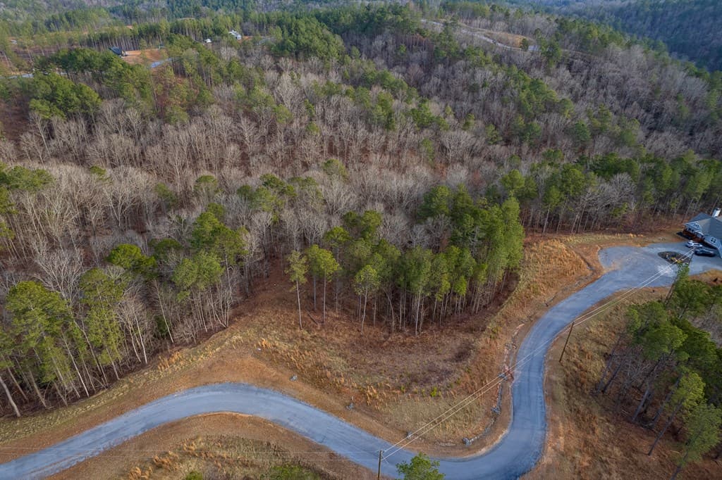 Lot 186 Shelter Cove Trail, Talking Rock GA 30175 - Photo