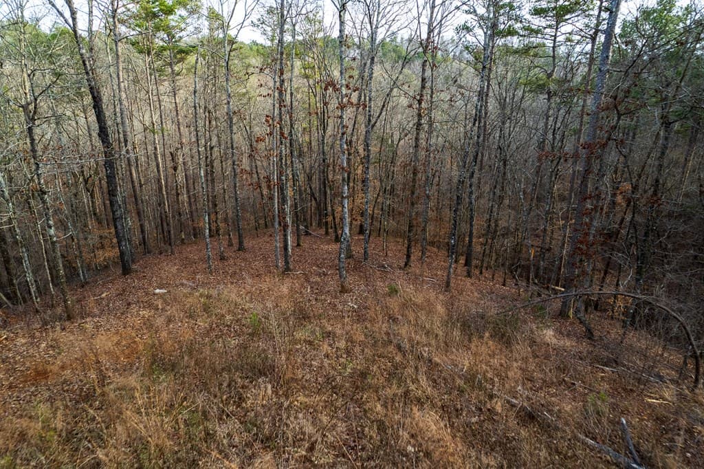 Lot 186 Shelter Cove Trail, Talking Rock GA 30175 - Photo