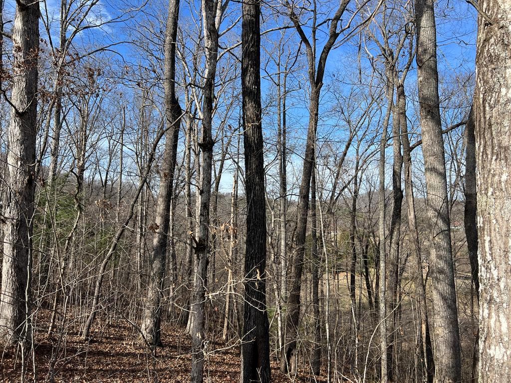 Lot 77A Licklog Ridge, Hayesville NC 28904 - Photo