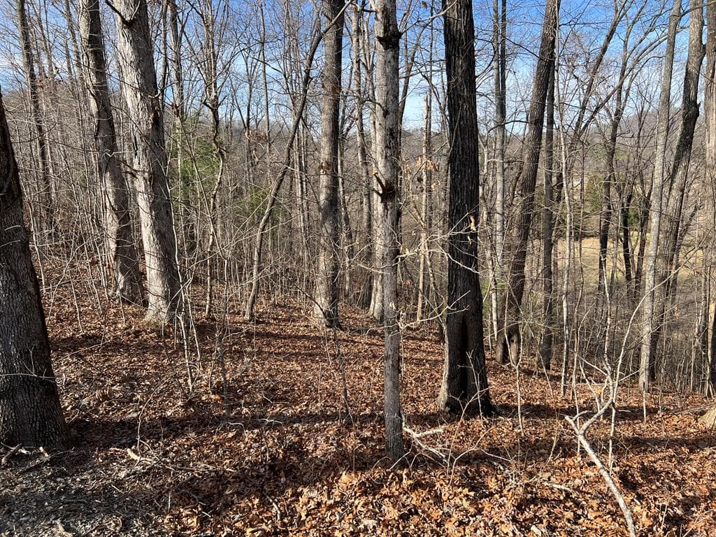 Lot 77A Licklog Ridge, Hayesville NC 28904 - Photo