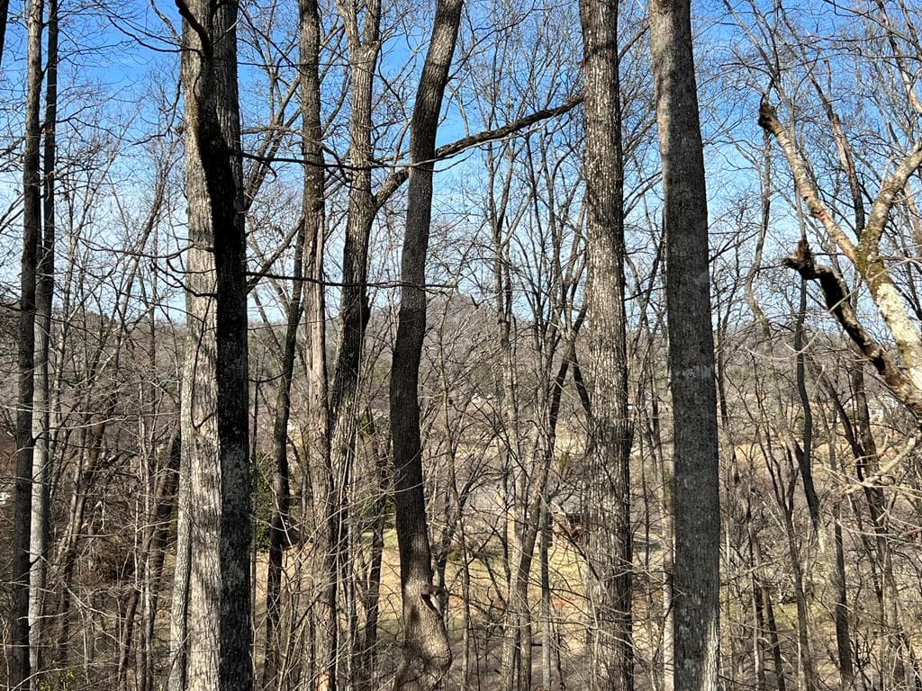Lot 77A Licklog Ridge, Hayesville NC 28904 - Photo
