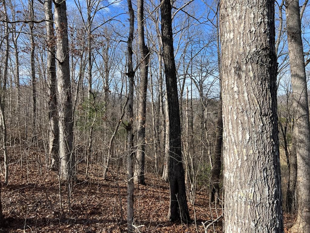 Lot 77A Licklog Ridge, Hayesville NC 28904 - Photo