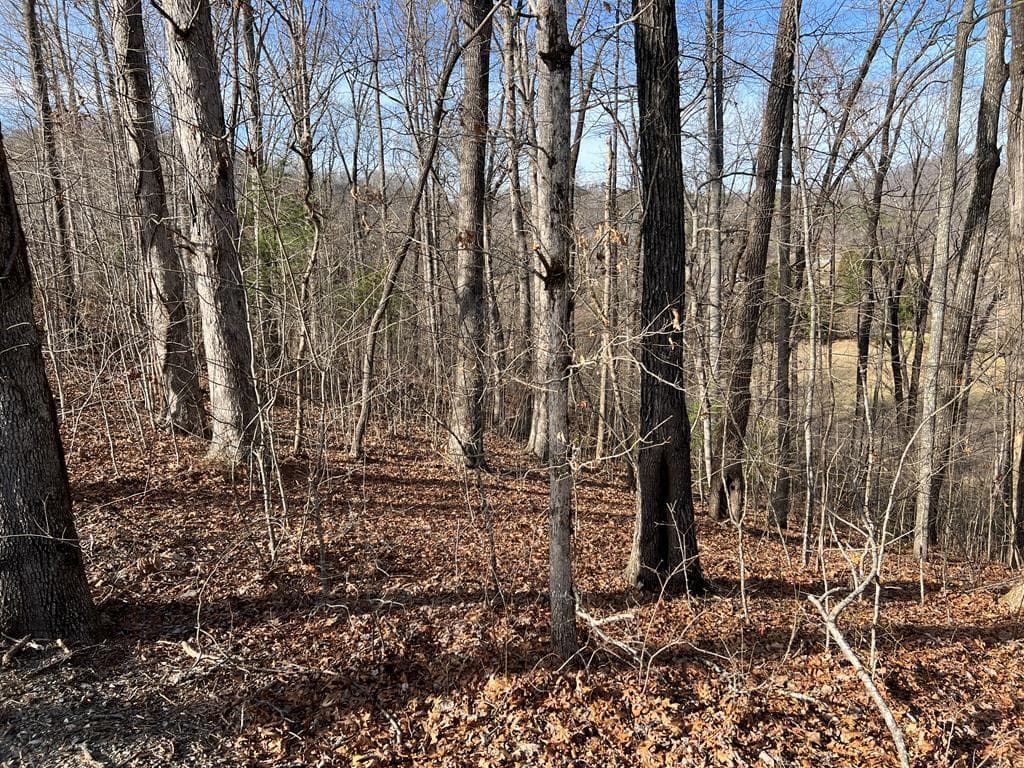 Lot 77A Licklog Ridge, Hayesville NC 28904 - Primary photo