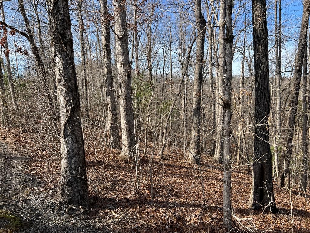 Lot 77A Licklog Ridge, Hayesville NC 28904 - Photo