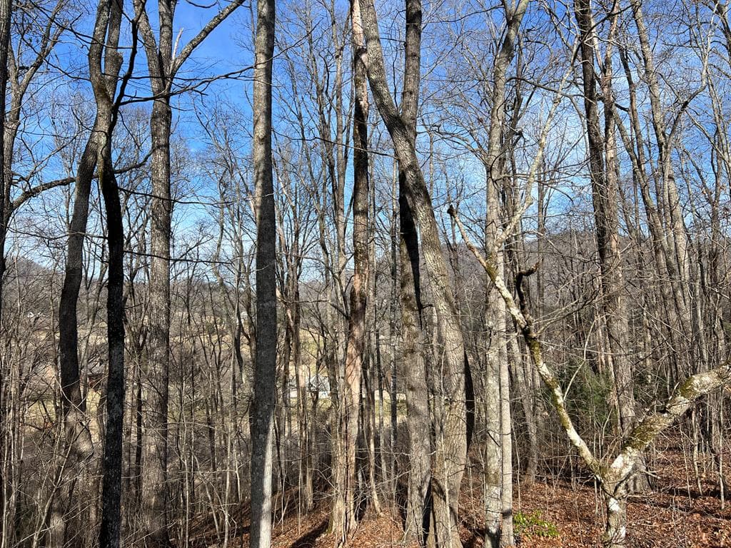 Lot 77A Licklog Ridge, Hayesville NC 28904 - Photo