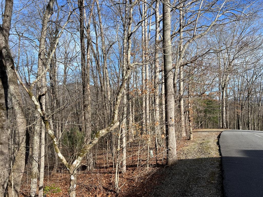 Lot 77A Licklog Ridge, Hayesville NC 28904 - Photo